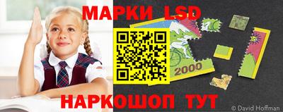 шишки Апшеронск