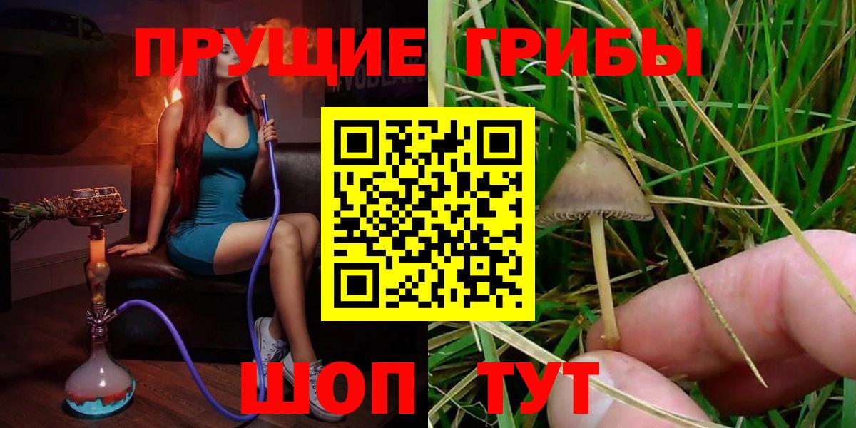 Галлюциногенные грибы Psilocybe  Псилоцибиновые грибы Magic Shrooms  сколько стоит  Воткинск  Вход с VPN 