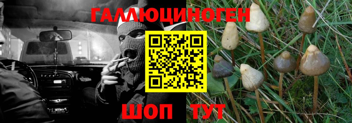 Псилоцибиновые грибы мухоморы Воткинск